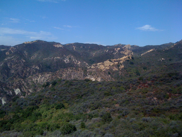 IMG_1808.JPG