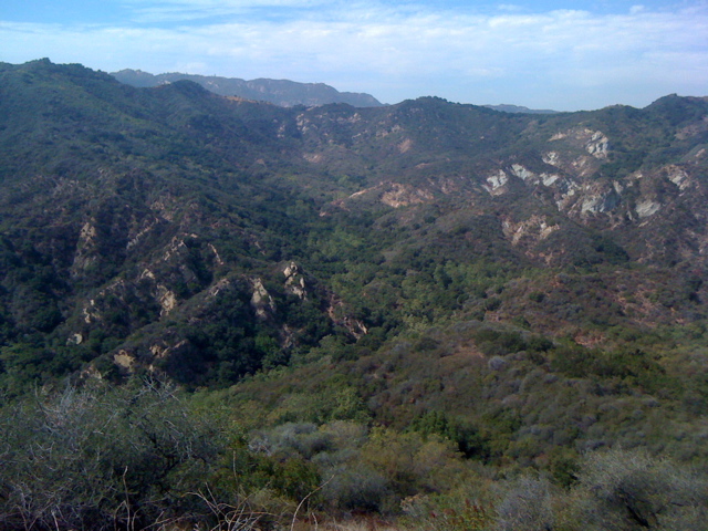 IMG_1809.JPG