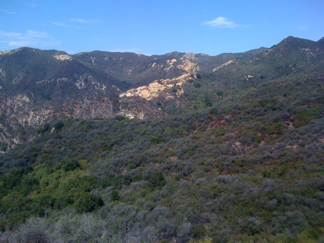 IMG_1811.JPG