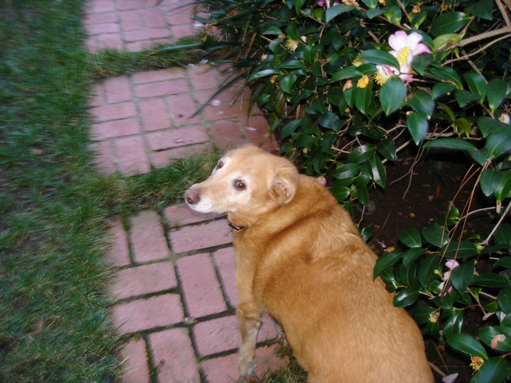 DSC02748.JPG