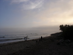 DSC02695.JPG