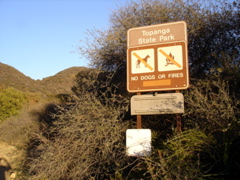 DSC02699.JPG
