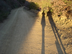 DSC02702.JPG
